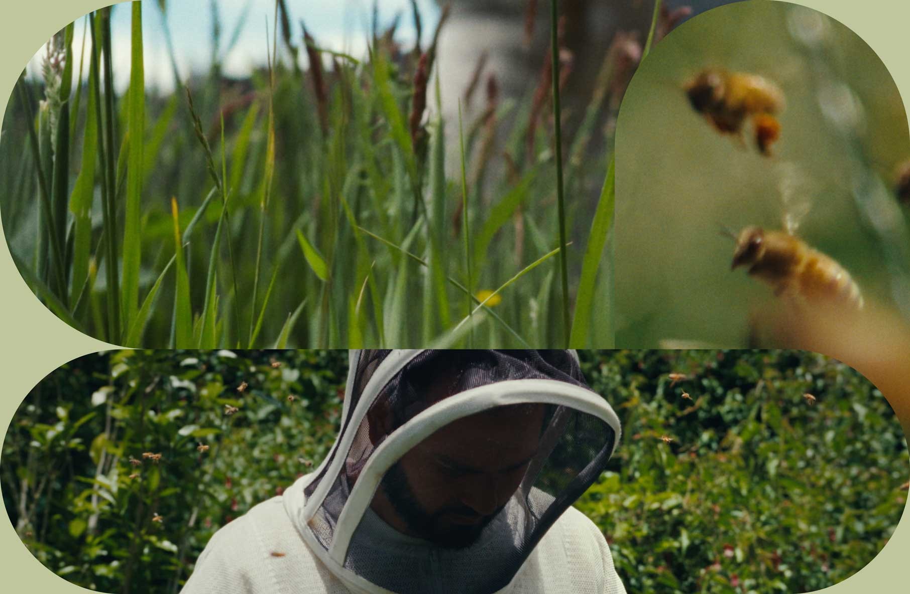 Imker und Bienen